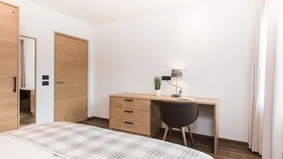 Desk of the double room of apartment Seceda in Ortisei
