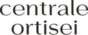 Appartamenti Centrale Ortisei